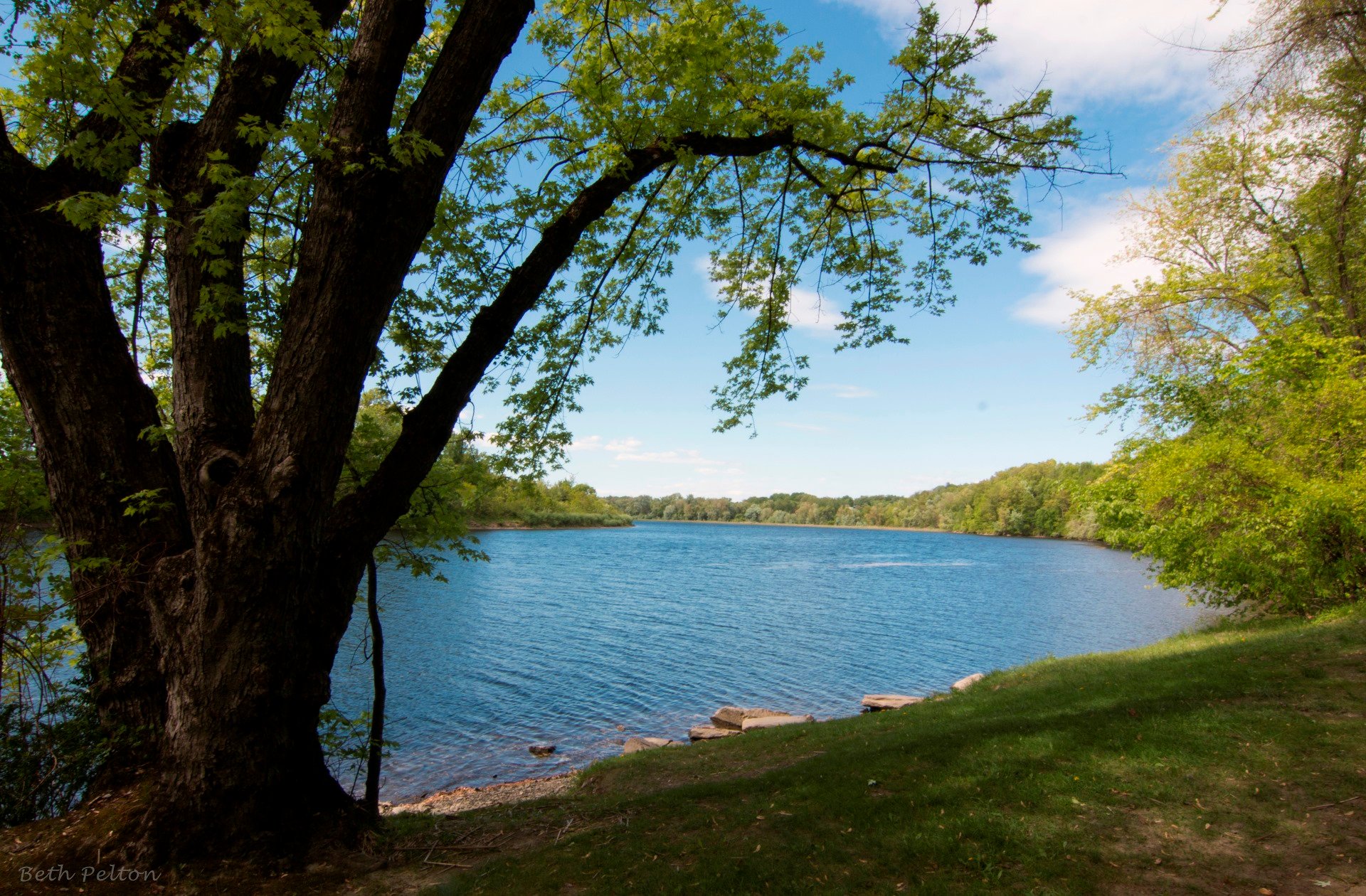 Escape to Tranquility: Connecticut River Road Campground, Your Gateway to Nature's Embrace